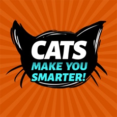 Activities of Cats Make You Smarter!