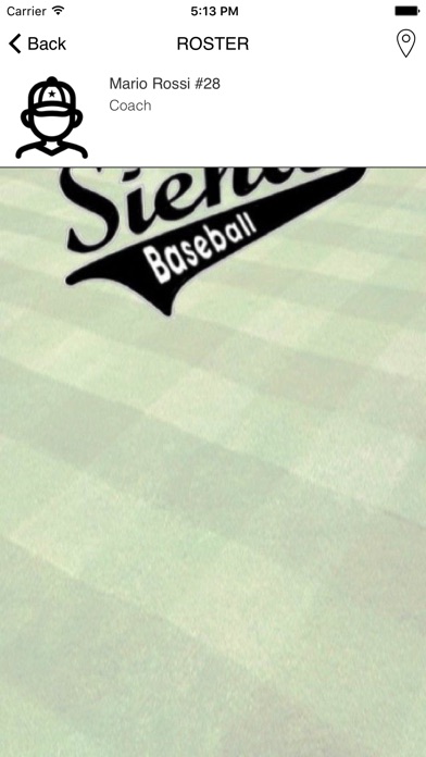 Siena Baseball screenshot 3