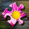 Jigsaw Puzzle: Flower game