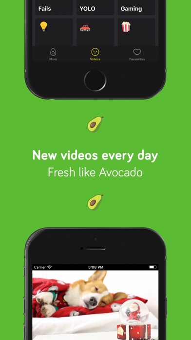 Videocado - Daily Fresh Videos screenshot 3
