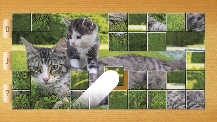 Cat Puzzles - Drag & Swap screenshot-6