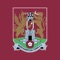 The Northampton Town Official App allows supporters to access all the latest video and audio content via your iFollow account