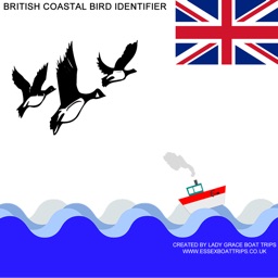 British Coastal Bird ID