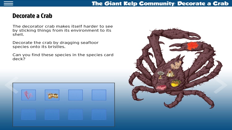 The Kelp Forest ebook screenshot-5