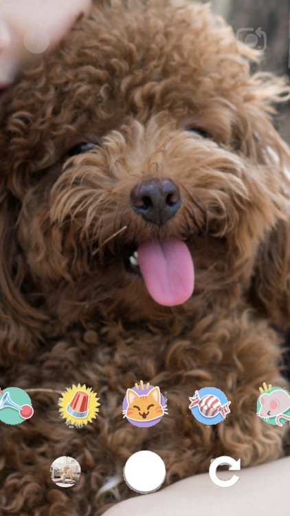 Wag.