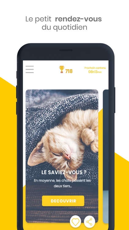 La Minute Du Chat By Links Lab