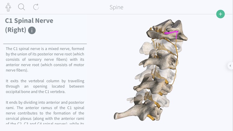Complete Ortho screenshot-3