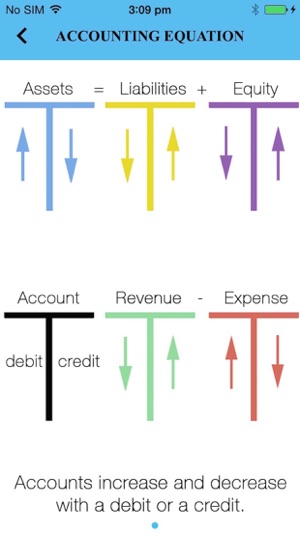 Debits and Credits Premium(圖5)-速報App