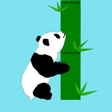 Activities of Panda Bridge