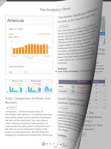 SAP Roambi Flow screenshot 2