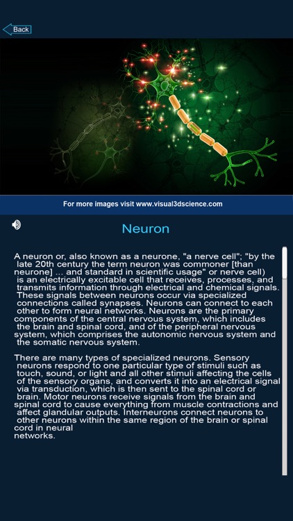 My Brain Anatomy screenshot-3