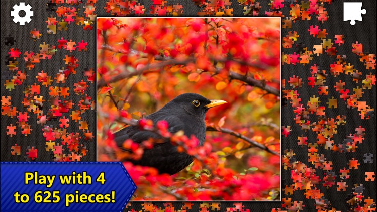 Jigsaw Puzzles Epic screenshot-4