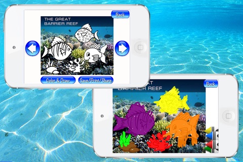 Ocean: encyclopedia of the sea animals screenshot 3