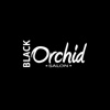 Black Orchid Salon