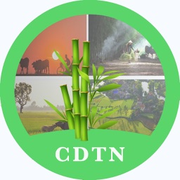 CDTN