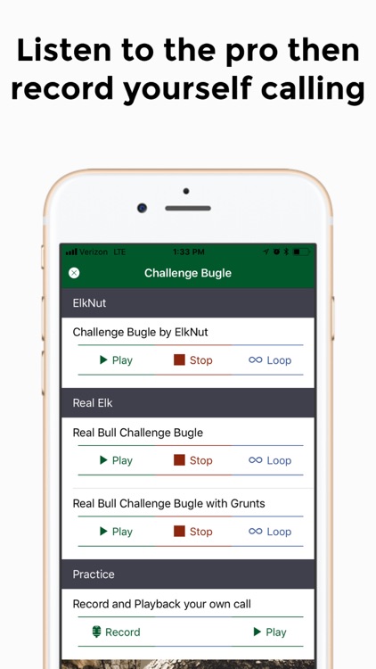 ElkNut screenshot-3