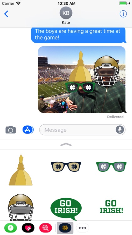 Notre Dame Stickers