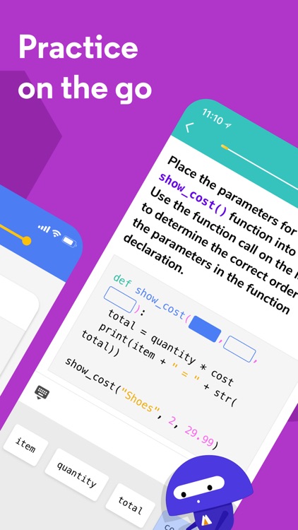 Codecademy Go