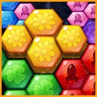 Star Block Hexagon