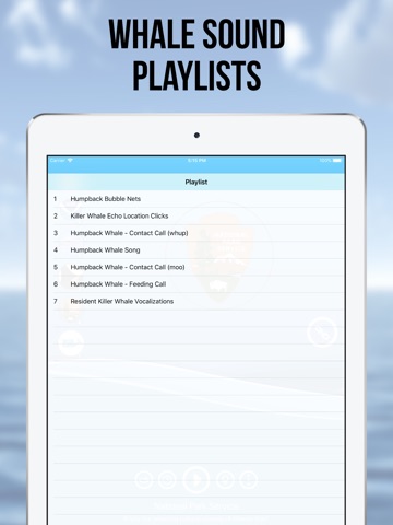 Whale Radio screenshot 2