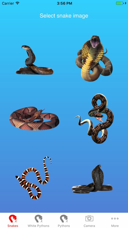 Snake on Screen Prank