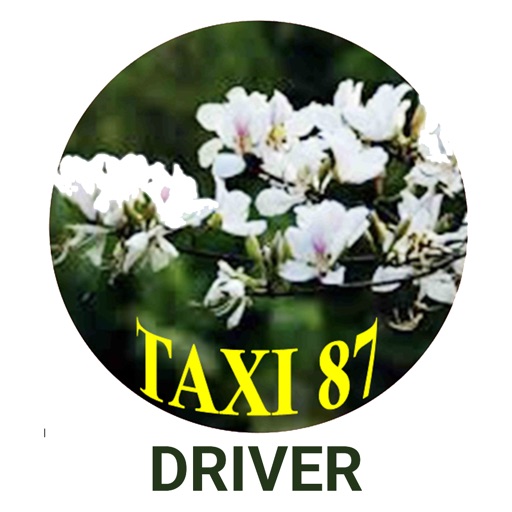 Taxi 87 Driver icon