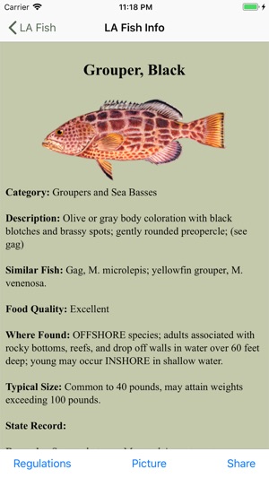 MS Saltwater Fishing Companion(圖4)-速報App