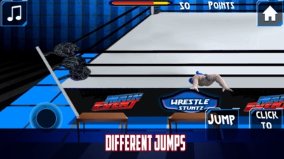 Wrestle Flash Stuntz screenshot 3