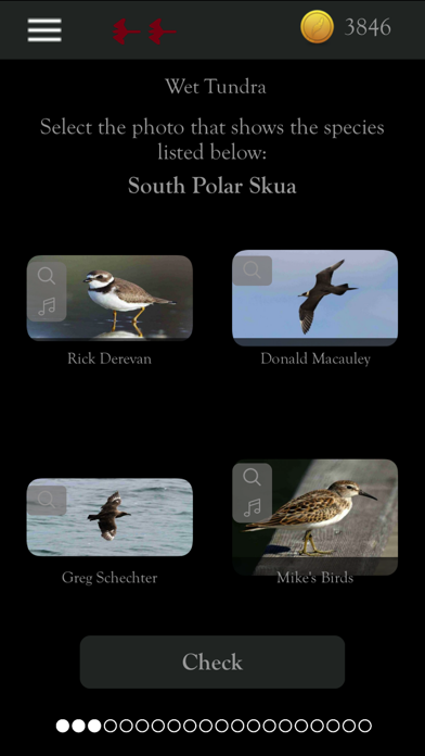 How to cancel & delete Kea: Create Birding Quiz Games from iphone & ipad 4