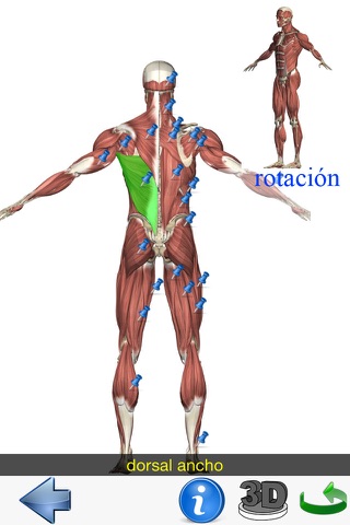 Visual Anatomy Lite screenshot 2