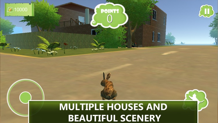 Extreme Rabbit 3D Simulator screenshot-3