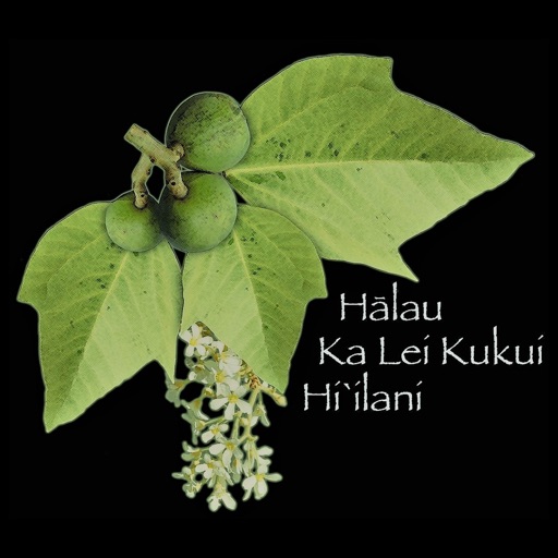 Halau Ka Lei Kukui Hi'ilani