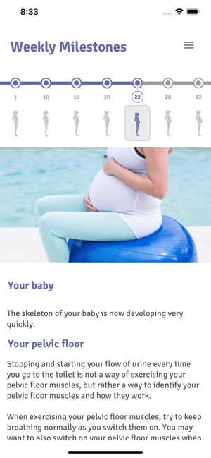 Pregnancy Pelvic Floor Plan Im App Store