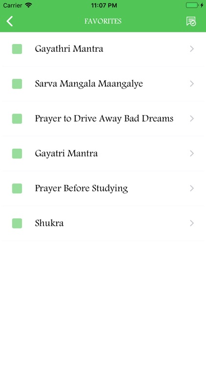 Hindu Daily Prayers screenshot-5