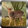 Expert Deer Hunting 3D