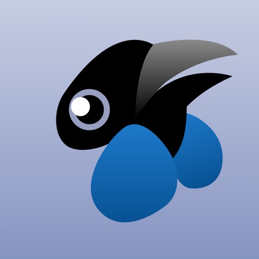 Kōkako