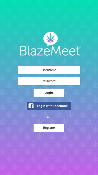 BlazeMeet screenshot 2