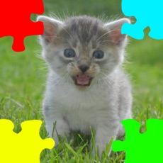 Activities of Kitten Jigsaw Puzzles