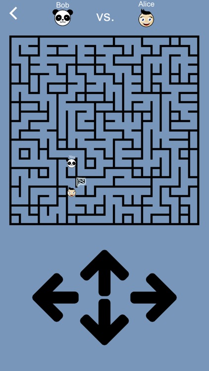 The Maze Race