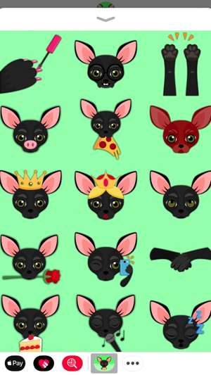 Black Chihuahua(圖1)-速報App