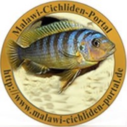 Malawi Cichliden Portal