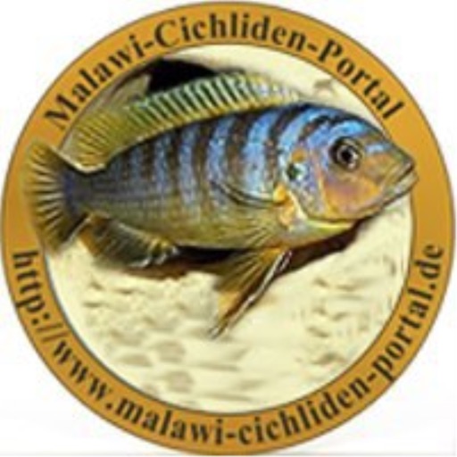 Malawi Cichliden Portal