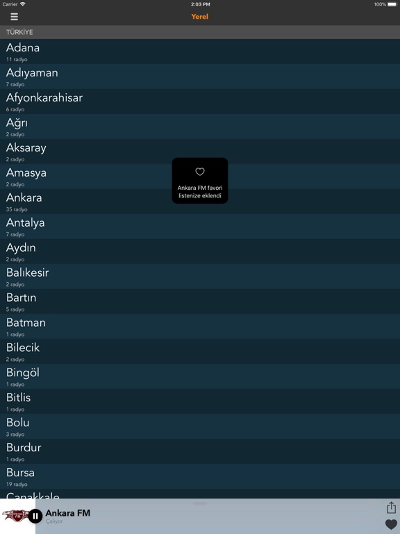 Radyo Kulesi - Türkçe Radyolarのおすすめ画像8