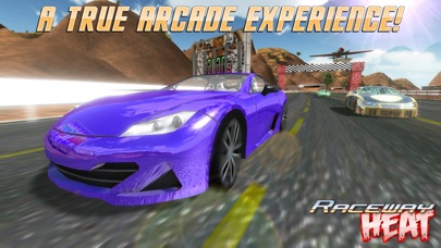 Raceway Heat Arcade Racing Fun screenshot 3