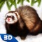 Ferret Forest Life Simulator