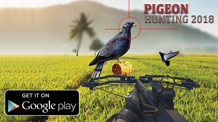 Spy Pigeon Bowhunting 3D