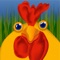 Chosen as a Slashfood Best of 2010 iPhone App for Food and Cooking, Pickin’ Chicken is the perfect chicken breed selector for the novice or “eggspert” chickenist