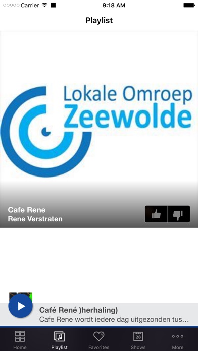 Lokale Omroep Zeewolde screenshot 2