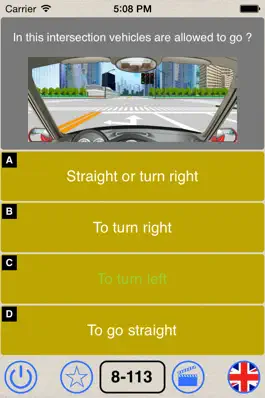 Game screenshot Driving in China - theory test apk
