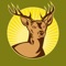 See the best hunting times for where you are hunting now - or any location - on a large, simple, easy to read display